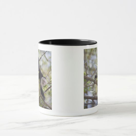 Weiß-Gesichtiger Capuchin, Guanacaste, Costa Rica Tasse (Zentrum)