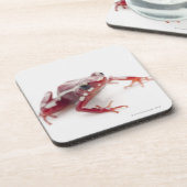 Weiß-gestreifter Gift-Pfeil-Frosch 2 Untersetzer (Linke Seite)