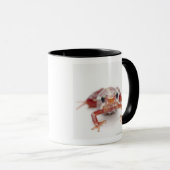 weiß-gestreifter Giftpfeilfrosch (epipedobates Tasse (VorderseiteRechts)