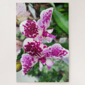 Weiß-Lila Phalaenopsis, Moth-Orchideen Puzzle (Vertikal)