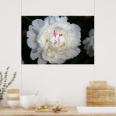 Weiß mit Touch Poster (Küche)