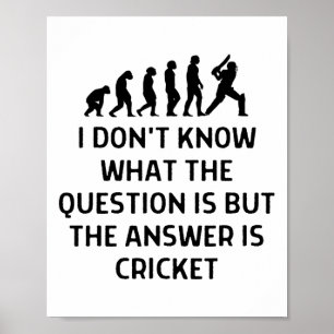 Weiß nicht, was die Frage ist, Antwort Cricket Fra Poster