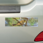 Weiß-plombiertes Honeyeater Autoaufkleber (Auf Auto)