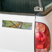 Weiß-plombiertes Honeyeater Autoaufkleber (Auf Lkw)