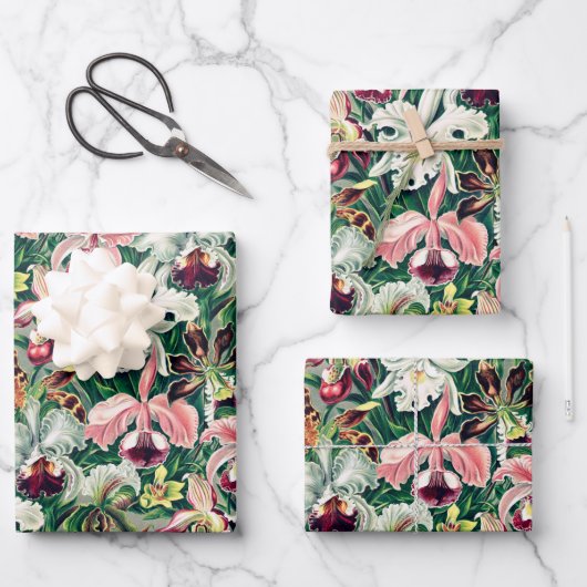 Weiß rosa Gelbgrün-Orchideenmuster Geschenkpapier Set (Vorderseite)