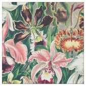 Weiß rosa Gelbgrün-Orchideenmuster Stoff (Nahaufnahme)
