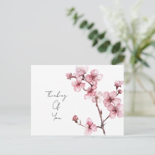 Weiß rosa Kirschblossom Bläserblüte Postkarte (Stehend Vorderseite)