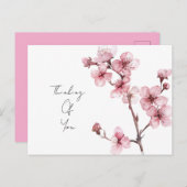 Weiß rosa Kirschblossom Bläserblüte Postkarte (Vorne/Hinten)