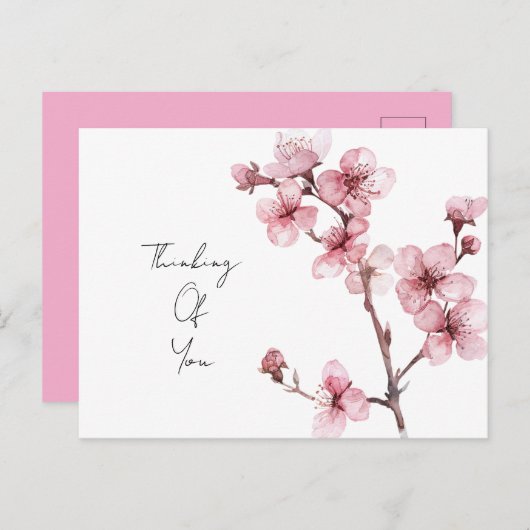 Weiß rosa Kirschblossom Bläserblüte Postkarte (Vorne/Hinten)