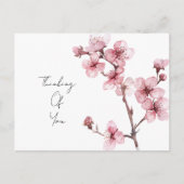 Weiß rosa Kirschblossom Bläserblüte Postkarte (Vorderseite)