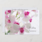 Weiß - rosa Orchideen, die Einladung Wedding sind (Vorne/Hinten)