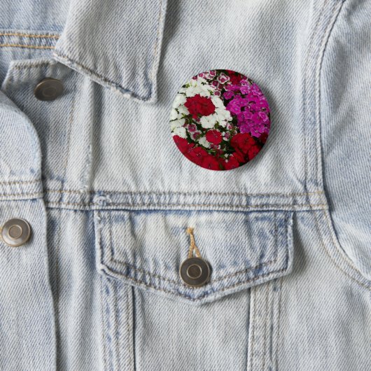 Weiß, Rosa und Rote Dianthus Button (Beispiel)