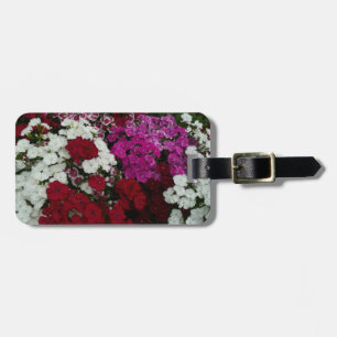 Weiß, Rosa und Rote Dianthus Gepäckanhänger