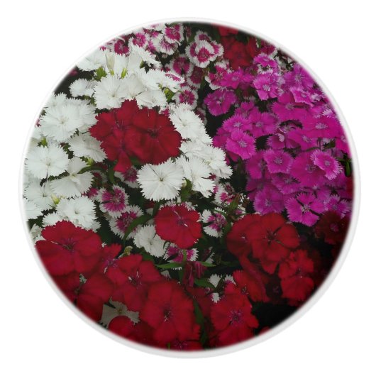 Weiß, Rosa und Rote Dianthus Keramikknauf (Vorderseite)