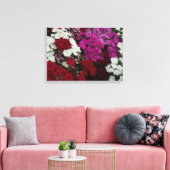 Weiß, Rosa und Rote Dianthus Leinwanddruck (Insitu (Wohnzimmer))