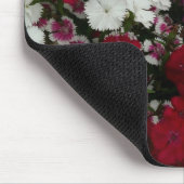 Weiß, Rosa und Rote Dianthus Mousepad (Ecke)