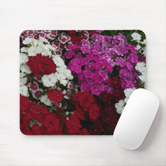 Weiß, Rosa und Rote Dianthus Mousepad (Mit Mouse)