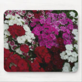 Weiß, Rosa und Rote Dianthus Mousepad (Vorne)