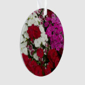 Weiß, Rosa und Rote Dianthus Ornament (Vorderseite)