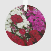 Weiß, Rosa und Rote Dianthus Ornament (Rückseite)