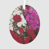Weiß, Rosa und Rote Dianthus Ornament (Vorderseite)