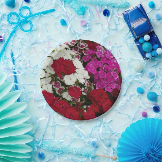 Weiß, Rosa und Rote Dianthus Pappteller (Party)