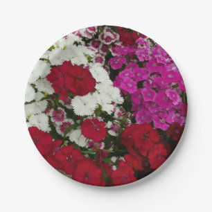 Weiß, Rosa und Rote Dianthus Pappteller