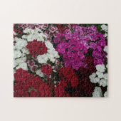 Weiß, Rosa und Rote Dianthus Puzzle (Horizontal)