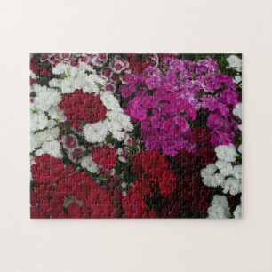 Weiß, Rosa und Rote Dianthus Puzzle