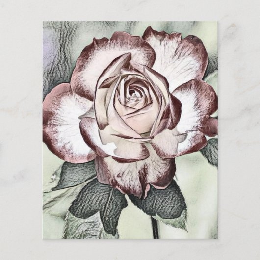 Weiß, rot, rote Rose (Vorderseite)