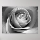 Weiß, S Cyr Poster (Vorne)