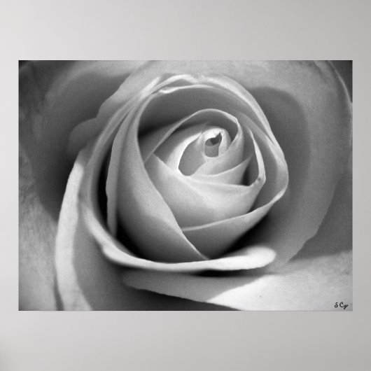 Weiß, S Cyr Poster (Vorne)