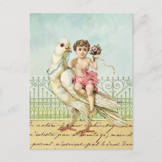 Weiß-Taube und Engel Postkarte (Vorderseite)
