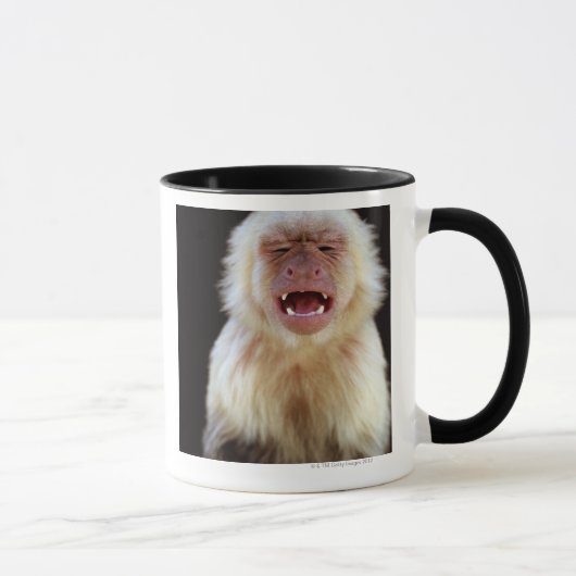 Weiß-throated Capuchin (Cebus capucinus) Tasse (Rechts)