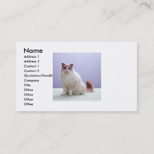 Weiß und Brown-Katzen-Visitenkarte Visitenkarte