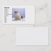 Weiß und Brown-Katzen-Visitenkarte Visitenkarte (Vorne/Hinten)