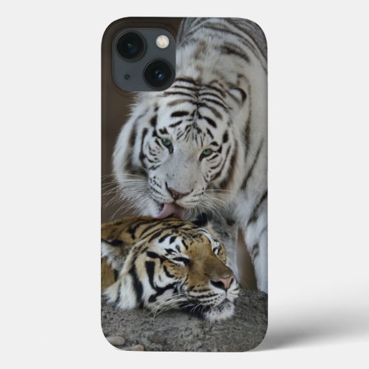 Weiß und Brown-Tiger-Stillstehen Case-Mate iPhone Hülle (Rückseite)