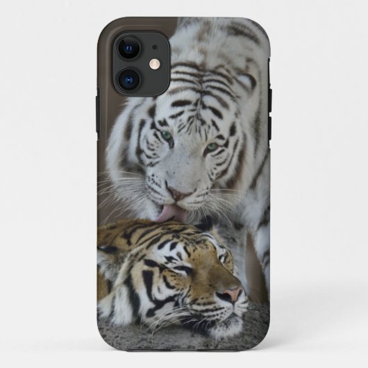 Weiß und Brown-Tiger-Stillstehen Case-Mate iPhone Hülle (Rückseite)