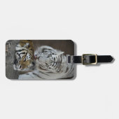 Weiß und Brown-Tiger-Stillstehen Gepäckanhänger (Vorderseite horizontal)