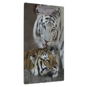 Weiß und Brown-Tiger-Stillstehen Klemmbrett (Rechts)