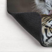 Weiß und Brown-Tiger-Stillstehen Mousepad (Ecke)