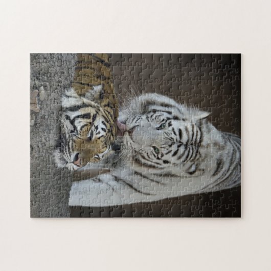 Weiß und Brown-Tiger-Stillstehen Puzzle (Horizontal)