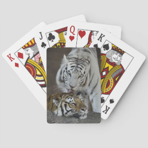 Weiß und Brown-Tiger-Stillstehen Spielkarten