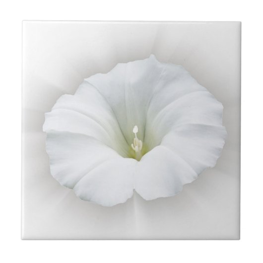 weiß und grau fliese (Vorderseite)