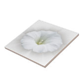 weiß und grau fliese (Seite)