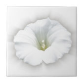 weiß und grau fliese (Vorderseite)