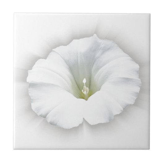 weiß und grau fliese (Vorderseite)