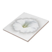 weiß und grau fliese (Seite)