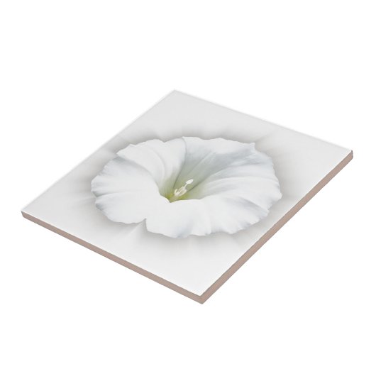 weiß und grau fliese (Seite)