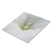 weiß und grau fliese (Seite)